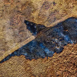 March 2020 (Shaker Village of Plesant Hill)